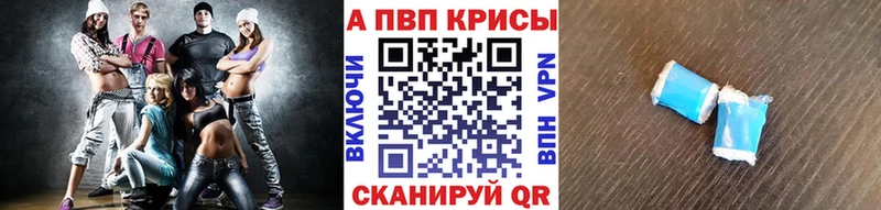 A-PVP СК КРИС  Великий Устюг 