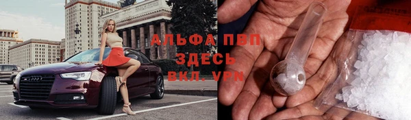 индика Грязи