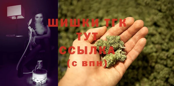 прущие грибы Покровск