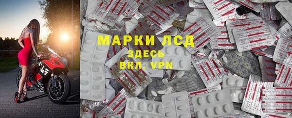 прущие грибы Покровск