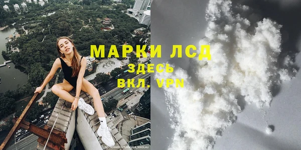 прущие грибы Покровск