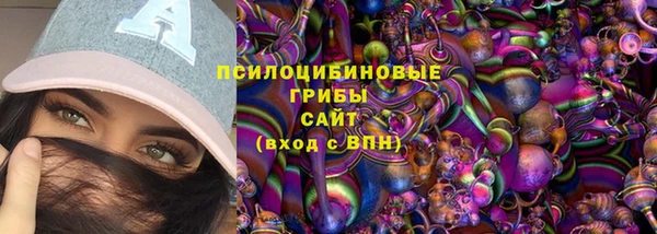 шишки Нижний Тагил