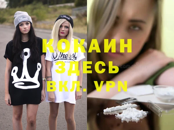 прущие грибы Покровск