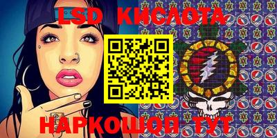 индика Аргун