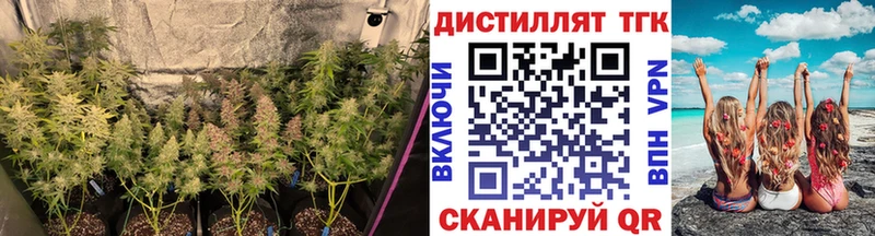 ТГК THC oil наркошоп Великий Устюг