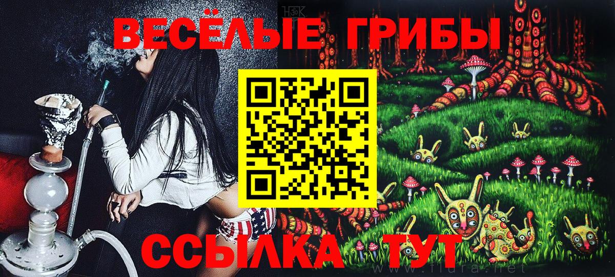 где можно купить наркотик  Псилоцибиновые грибы мицелий  Вход с VPN  Великий Устюг 