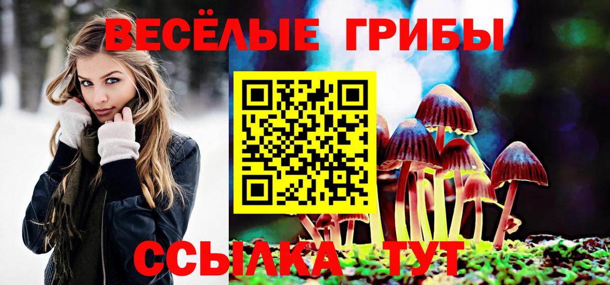 Галлюциногенные грибы прущие грибы Великий Устюг