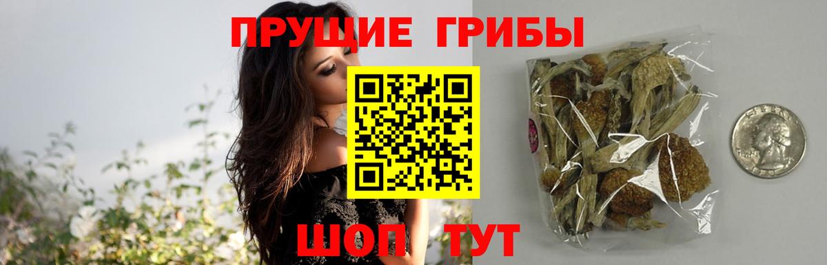 Псилоцибиновые грибы MAGIC MUSHROOMS Великий Устюг